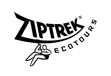 Ziptrek logo MONO